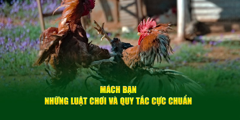 Mách bạn những luật chơi và quy tắc cực chuẩn 